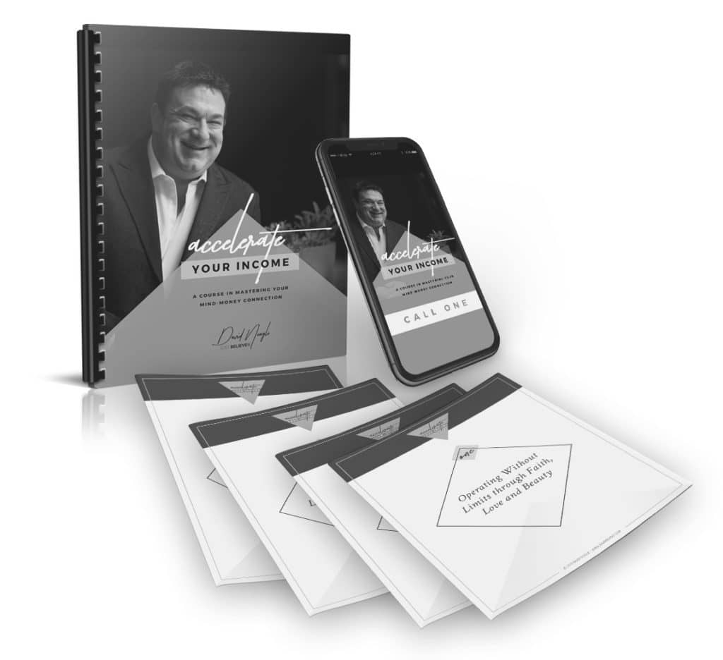 accelerate your income product image black & white